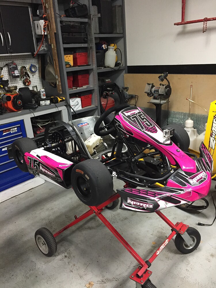 Championship Emmick kid kart for sale Classifieds Badger Kart Club